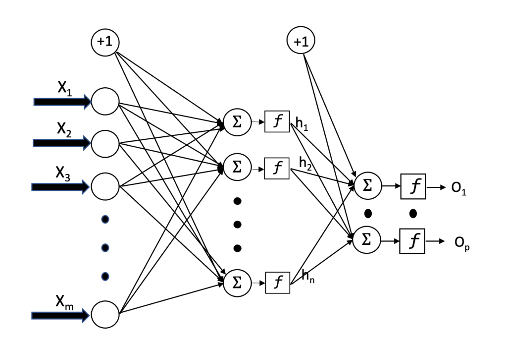 Feedforward Neural Network