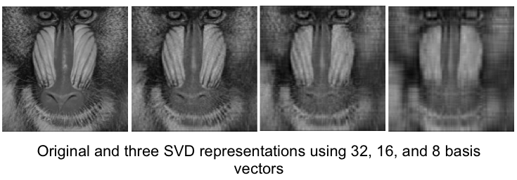 Original and three SVD representations using 32, 16, and 8 basis vectors